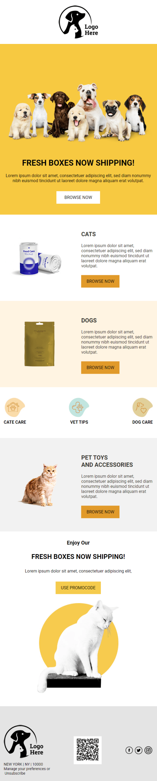 Pet Care 2 Email Template